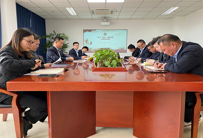 2 “学习‘两会’精神专题”主题党日 活动记录-2.png